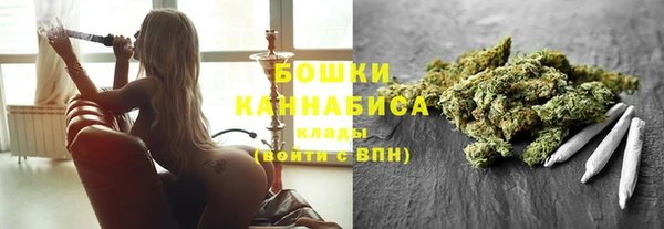 дживик Карпинск