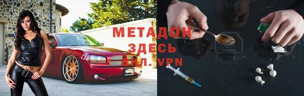 сатива Каменка