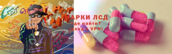 дживик Карпинск