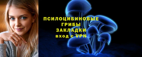 сатива Каменка