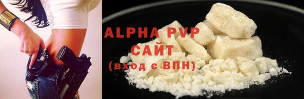 стафф Касимов