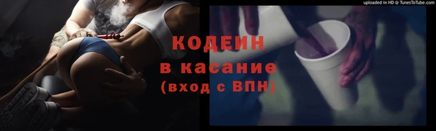 стафф Касимов