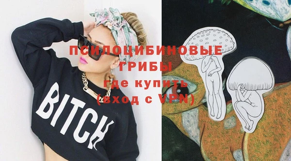 сатива Каменка