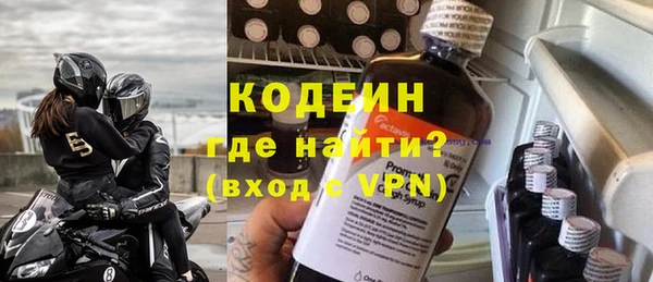 сатива Каменка