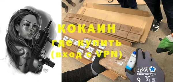 сатива Каменка