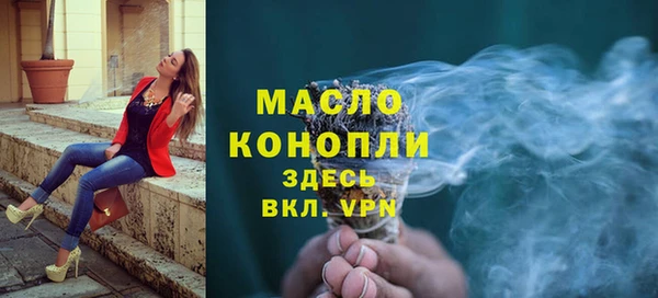 сатива Каменка