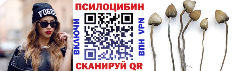 Псилоцибиновые грибы прущие грибы  Кадников 